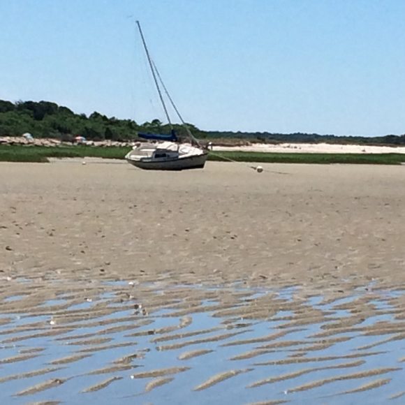 Meet your Posher, Cindy - Picture 1 of 1